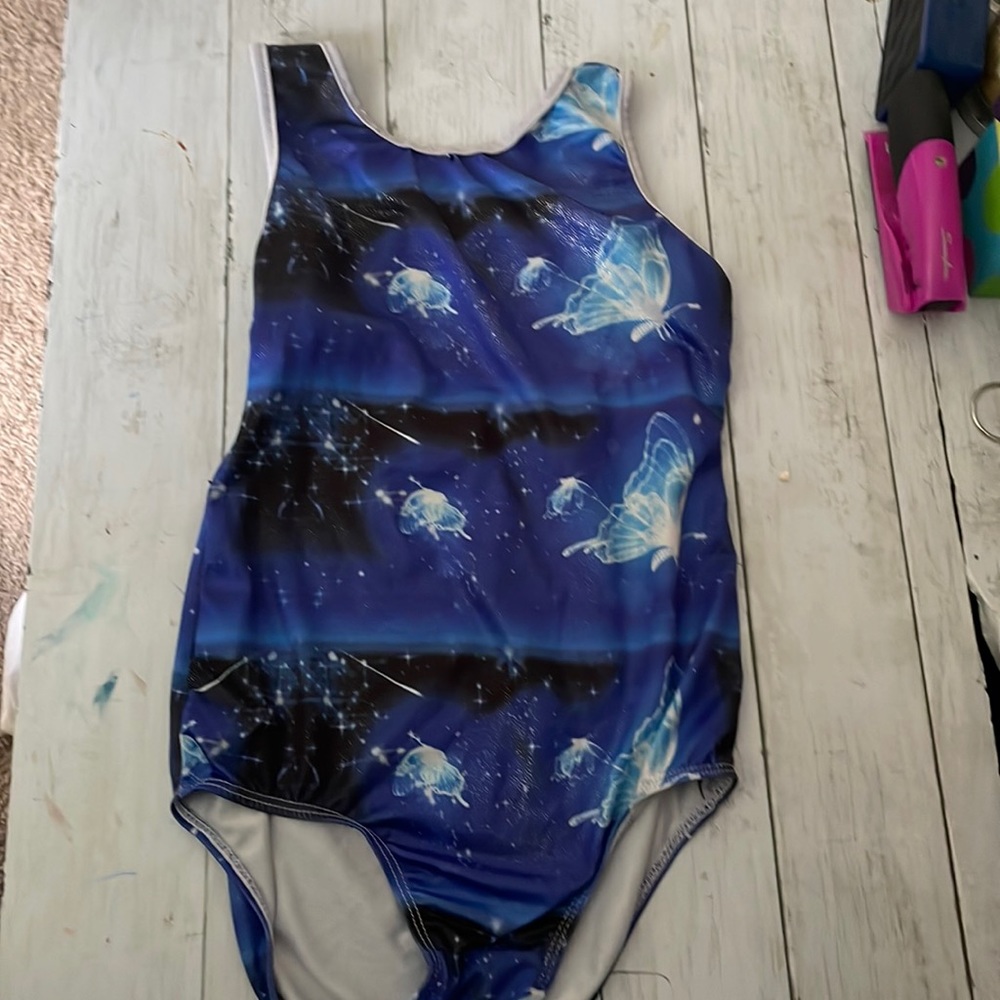 Blue Butterfly Leotard
